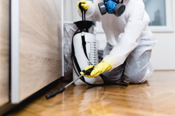 Professional Pest Control in Lower Lake, CA