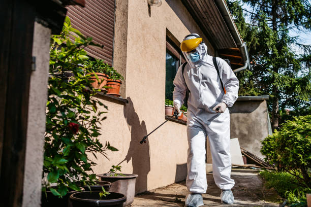 Flea Control Services in Lower Lake, CA