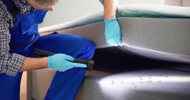 Best Flea Control Services  in Lower Lake, CA
