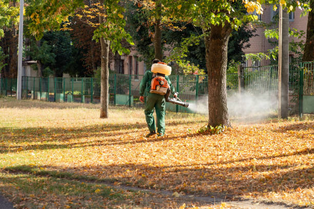 Best Pest Control Near Me  in Lower Lake, CA